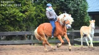 Pony Park Padenstedt  Zeugnisferien 2016 [upl. by Anasor]