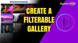 Divi Theme How To Create A FILTERABLE GALLERY [upl. by Nicholl]