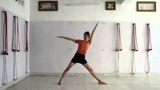 30 minutes practice of Iyengar Yoga for beginners to intermediates [upl. by Auhsuj]