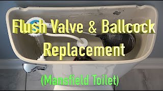 Flush Valve amp Ballcock Replacement  Mansfield Toilet [upl. by Laehplar552]