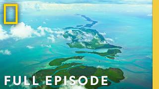 Exploring the Everglades  America’s National Parks  हिन्दी  Full Episode  S1E1  Nat Geo [upl. by Shargel]