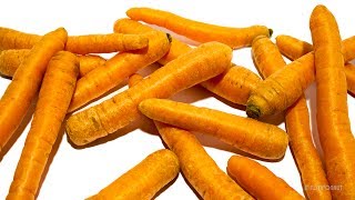 Carrots Timelapse [upl. by Latsyk]