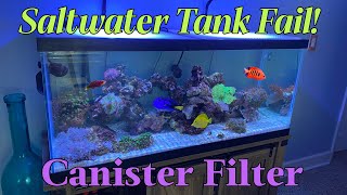 Fixing Saltwater tank with Canister filter [upl. by Koppel]