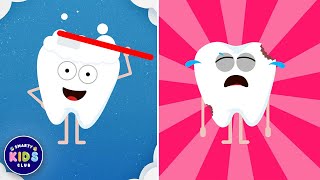 Brush Brush Brush Your Teeth  Educational Song for Toddlers [upl. by Silvano]