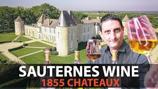 Your Essential Guide to Sauternes  Fine Rare amp Most Expensive Wines from Bordeaux Part3 [upl. by Anaila889]