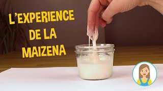 Maizena eau experience scientifique amusante  Le fluide non newtonien à découvrir [upl. by Weirick36]