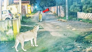 இதுவரை பார்த்திராத கேமராவில் பதிவான நிகழ்வுகள் Unbelievable Animals moments  Tamil Display [upl. by Hulen302]