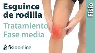 Esguince de ligamento lateral interno de rodilla  Tratamiento en su fase intermedia FUNCIONA ❤️ [upl. by Ittocs448]