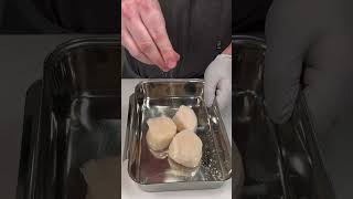 Scallops cooking asmr food recipeshorts [upl. by Sivrep]