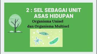 Organisma Unisel dan Multisel [upl. by Nylidam582]