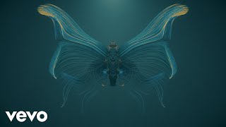 Ludovico Einaudi  Einaudi Fly Official Visualiser [upl. by Nodnart]