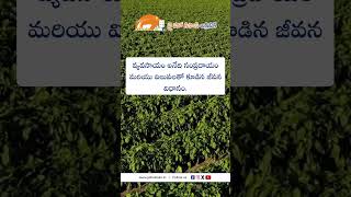 jhk Farmers motivational Quotes in telugu  Whatsapp Status 2024  JaiHoKisan [upl. by Sorac]