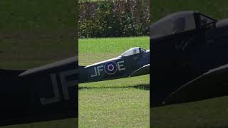 Large HyperRealistic RC Hawker Tempest Clostermann Taxiing on Grass short shorts [upl. by Fabron]