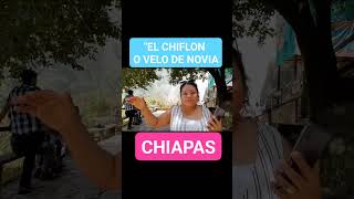 EL CHIFLON O VELO DE NOVIA CHIAPAS  4D FAM▶ [upl. by Enatan]