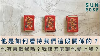 他有喜歡我嗎  他是如何看待這段關係的？我該怎麼做  SunRose豪豪  塔羅占卜 🔮無時間限制 [upl. by Kaye]