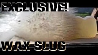 Shotgun Wax Slugs vs WORLDS WORST quotBallistics Gelquot [upl. by Dranrev973]