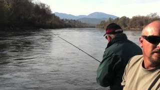 Indicator Nymphing on Lower Sacramento River [upl. by Noitna403]