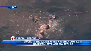 Woman arrested after jumping into pond in Doral during police chase on Palmetto Expressway [upl. by Oberg473]