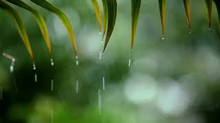 You amp Me Relaxing Piano Music amp Soft Rain Sounds For Sleep amp Relaxation by Peder B Helland [upl. by Montana]