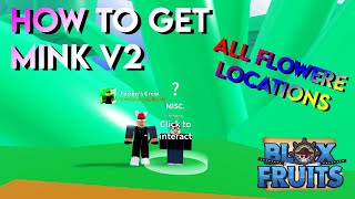 How To Get MINK 2v 🌊 Blox Fruits Update 173 [upl. by Sirama91]