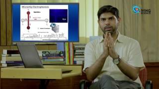 Lecture 8 Microfluidics Part 2 Dr Supreet Singh Bahga IITDelhi [upl. by Ariait]