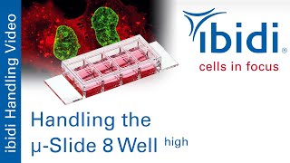 Handling the µSlide 8 Well high [upl. by Arved276]