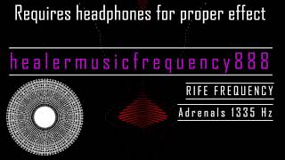 Adrenals 1335 Hz Rife Frequency I got that good stuff that you want [upl. by Arised]