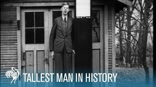 The Worlds Tallest Man Robert Wadlow 811quot aka the Alton Giant 1936  British Pathé [upl. by Dennett345]