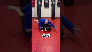 Leg Drag Smesh Everybody bjj [upl. by Aylmer]