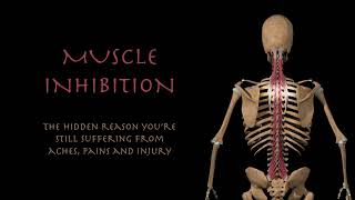 Muscle Inhibition  The Hidden Reason for Aches Pain and Injury [upl. by Enaid]