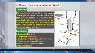 IIREGIONAL ANALGESIA IPERINEURAL BRegional Analgesia Of Limbs 1Horse 2Abaxial nerve block [upl. by Hewett]