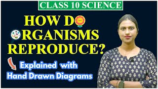 How do Organisms Reproduce One Shot Class 10 Science for Board [upl. by Tremann227]