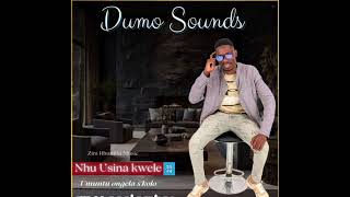 Dumo Sounds  Nhu Usina Kwele Track 2 [upl. by Aurthur]