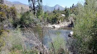 Kern River 2024 Update in Sequoia National Forest Raging Fast Flowing Snowmelt Fills River ASMR [upl. by Wight]