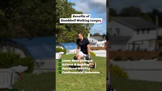 Benefits of Dumbbell Walking Lunges A Classic Leg Exercise for Strength Stability amp Muscle [upl. by Bohrer]