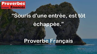 Proverbe Français  Souris dune entrée est tôt échappée [upl. by Ludovick]