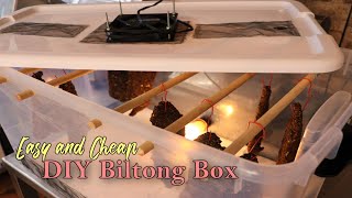 Easy amp Cheap Way to Build a Biltong Box  Dry Curing Meat for Beginners [upl. by Nosde636]