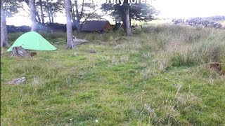 My first wildcamp in Dartmoor England [upl. by Alford]