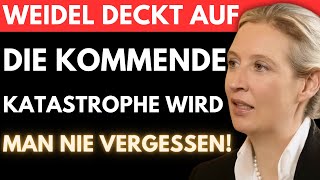 Alice Weidel WARNT 🚨 Dieses neue Gesetz KÖNNTE UNS ALLES KOSTEN BSW und Altparteien enttarnt [upl. by Nairrad418]