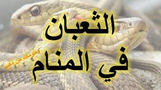 تفسير حلم الثعبان او الحية او الافعى لابن سيرين تفسير الاحلام الثعبان [upl. by Nalor]