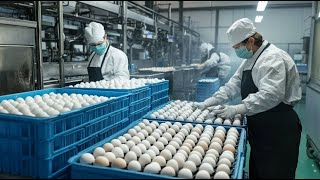 Mass Production of Liquid Eggs Inside a Factory in Japan Using 13 Billion Eggs Every Year [upl. by Abana]