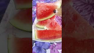 Chummathirikumbo ethupolea oronu kaicha samathana🤣🥰watermelon videoshortsviraltrending [upl. by Carlie]