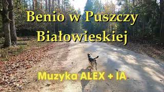 Banio w Puszczy Białowieskiej [upl. by Yvehc]