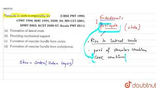 Pericycle in roots is responsible for [upl. by Airrat772]