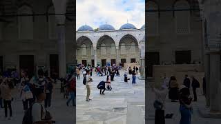 Moscheea Albastră istanbul travel shortvideo shorts [upl. by Berton]