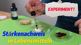 Forsche mit uns Experiment Stärkenachweis in Lebensmitteln [upl. by Jaf469]