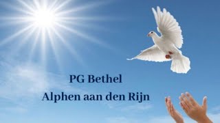 PG Bethel Alphen ad Rijn Zondagdienst 17 November 2024 [upl. by Nomael]