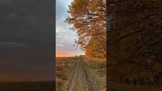 autumnvibes fallvibes fallaesthetic autumn asmr asmrsounds [upl. by Sussna62]