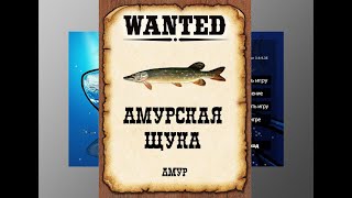 Ловим мутантов в РР3 Амурская щука [upl. by Hooker]