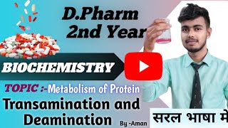 Transamination and deamination of amino acidsmetabolism of proteinbiochemistry [upl. by Nwahsir363]